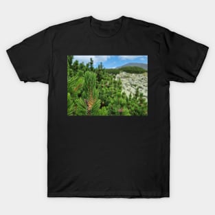 Mountain Pine Tree View T-Shirt